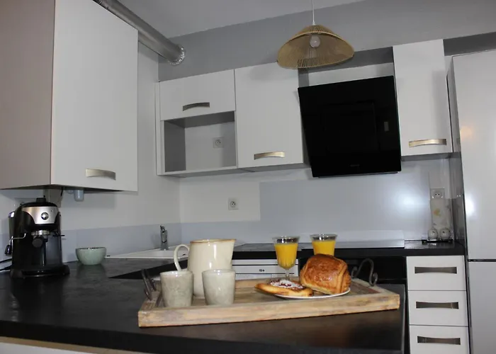 Apartment L'esprit De Lourdes, Proche Sanctuaire Et Gare, Vue Sur Le Chateau *